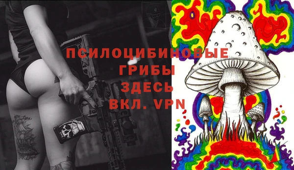 гидра Абдулино