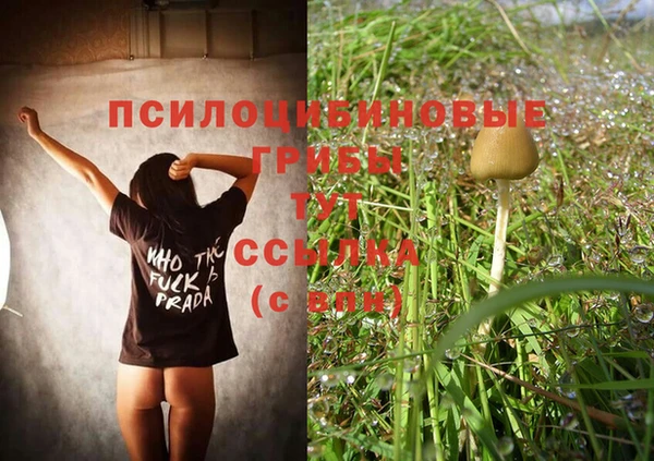 гидра Абдулино