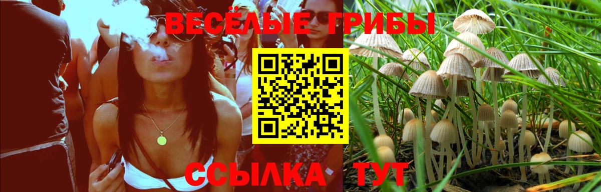 Галлюциногенные грибы Cubensis  Вход с VPN  Галлюциногенные грибы мухоморы  Азнакаево 
